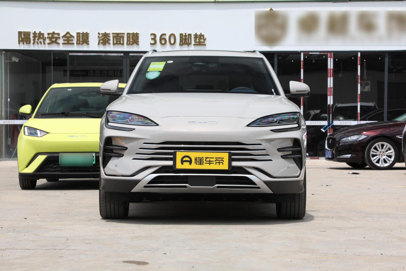 Byd song dm i 2024